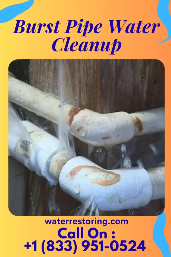 Burst Pipe Water Cleanup in Gilead, NE