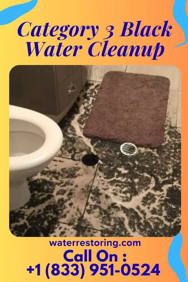 Category 3 Black Water Cleanup in Gilead, NE